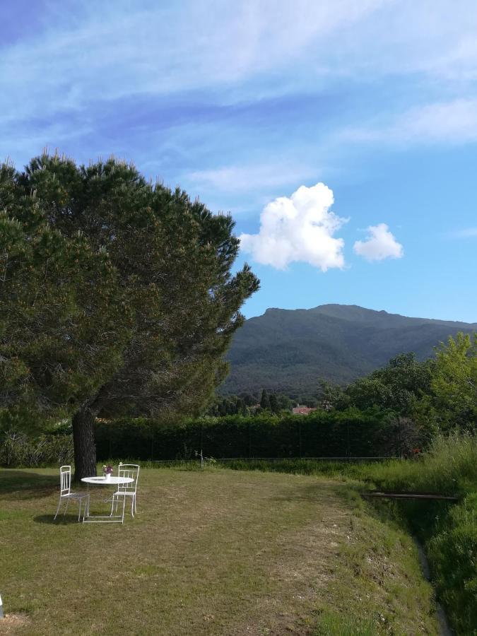 Le Quatorze Lejlighed Laroque-des-Albères Eksteriør billede